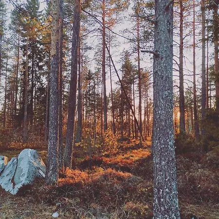 Horská chata Omatoimista Moekkimajoitusta Luonnon Keskellae *