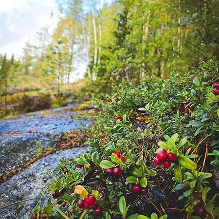 Horská chata Omatoimista Moekkimajoitusta Luonnon Keskellae