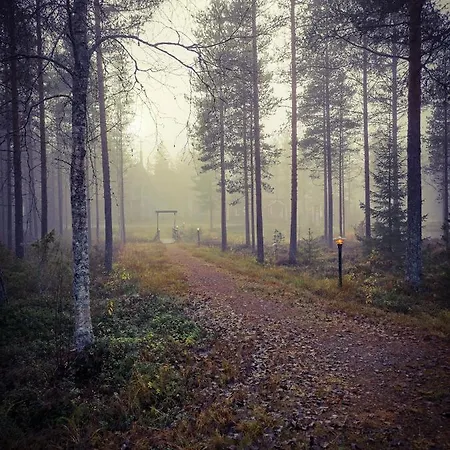 Omatoimista Moekkimajoitusta Luonnon Keskellae Taluspera